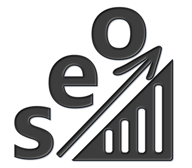 Podpořte své podnikání kvalitní seo optimalizací